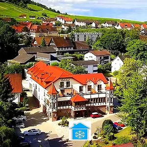 **** Hotel Rebstock Deutschland